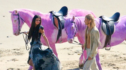 Pink anklagar Selena Gomez för djurplågeri