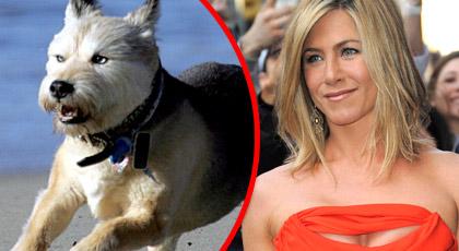 Jennifer Anistons hund Norman har dött