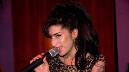 Amy Winehouse’s songboeken vermist