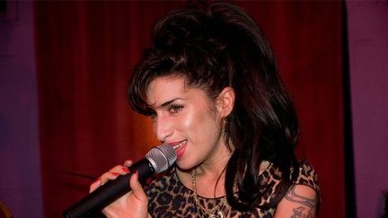 Amy Winehouse’s songboeken vermist