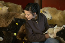 Här är fåruppfödaren som är yngst i Idol