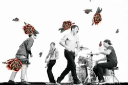 EXKLUSIVT: Se Red Hot Chili Peppers nya video