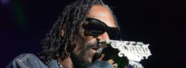 Marijuana i bagaget – Snoop Dogg stoppad