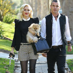 Gwen Stefanis supermysiga dag med familjen på thanksgiving!