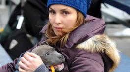 Noomi Rapace räddar djur i New York