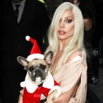 Lady Gaga önskar god jul med gullhund