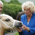 Hästbitna Camilla tog tillfället i akt