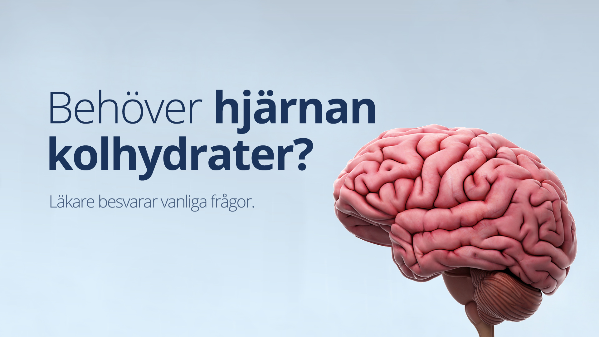 Behöver hjärnan kolhydrater?