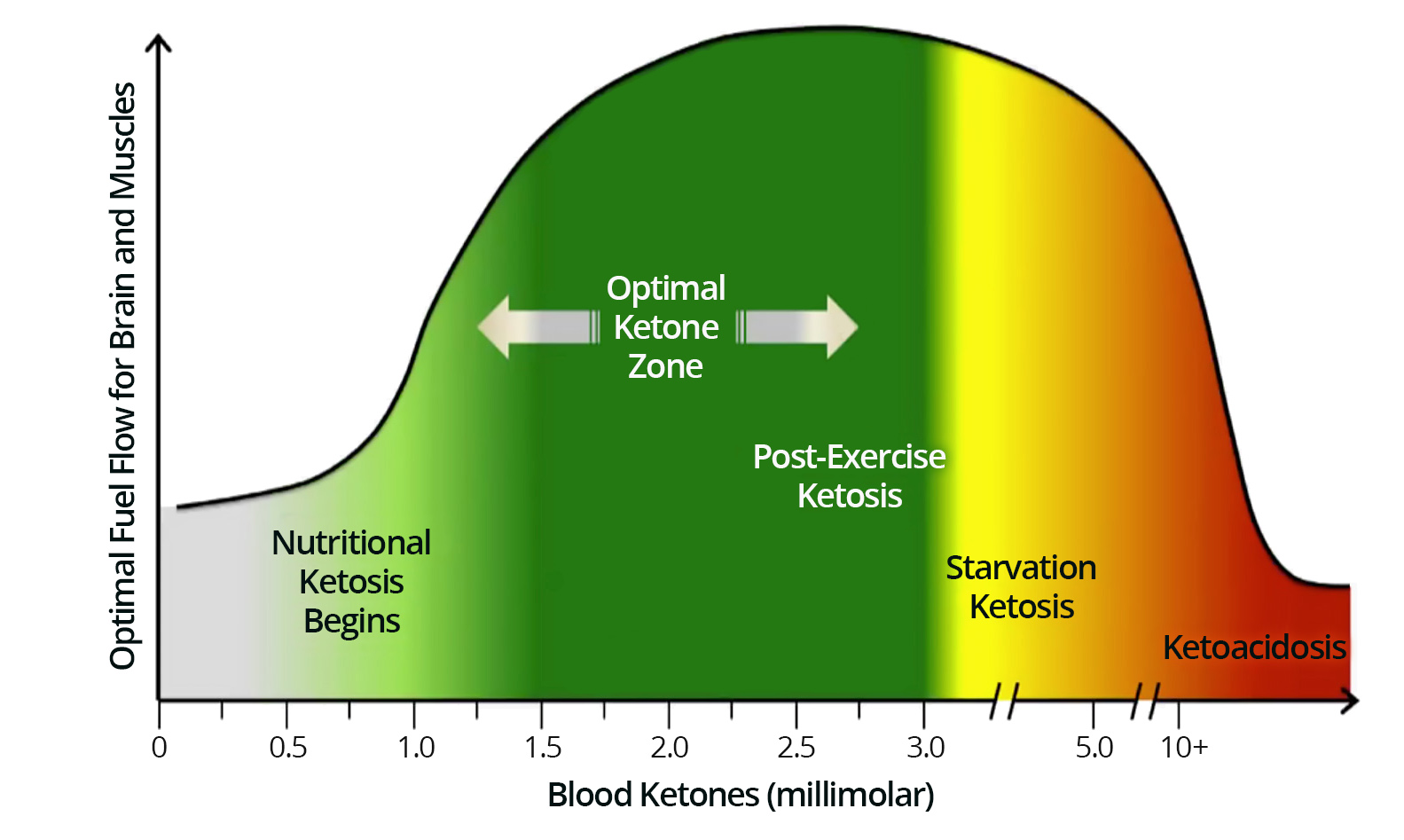 LCHF-tips #5 – ketos