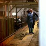 Johan stal en puss av Sofie i ladugården